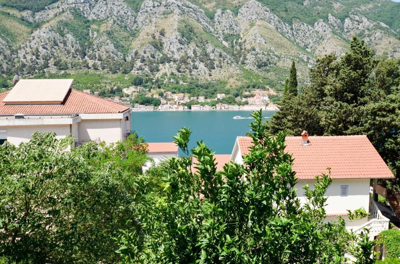 Апартаменты Bay View Apartments Котор-5
